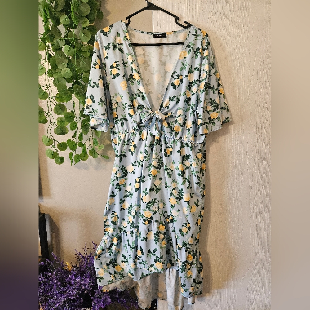 Floral V-Neck Dress